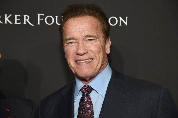 Schwarzenegger ætlar einnig að standa fyrir stórri umhverfisráðstefnu í Vín í maí.