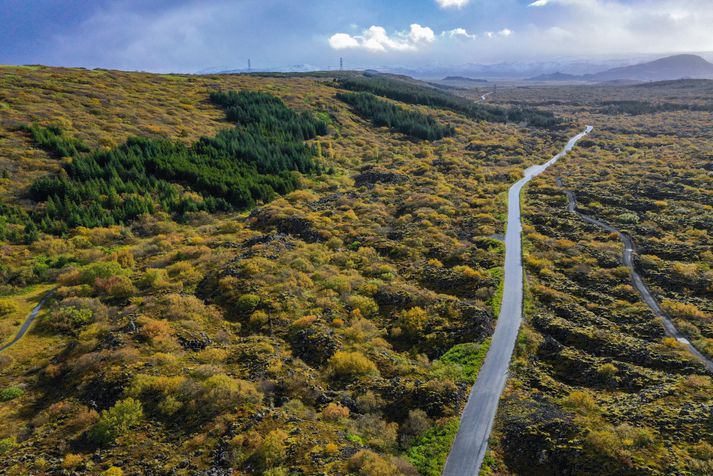 Konan var á ferð í Heiðmörk þegar óhappið varð.