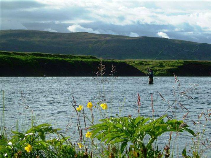 Veiðin í Soginu er búin að vera döpur í sumar