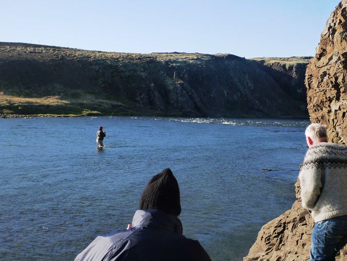 Hér fylgjast menn spenntir með því þegar Bjarni Júlíusson, formaður SVFR, tók fyrsta lax sumarsins í Norðurá þann 5. júní.