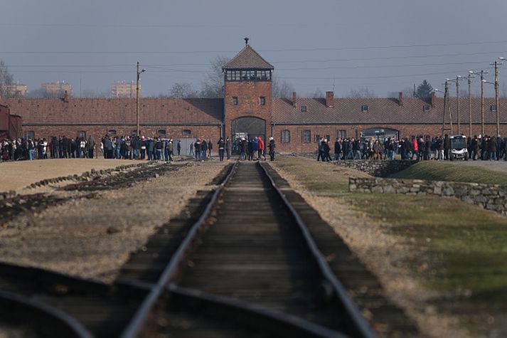 Horft eftir lestarteinunum í Auschwitz