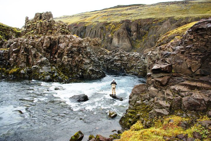 Stóra Laxá í Hreppum er eitt fallegasta veiðisvæði hér á landinu.