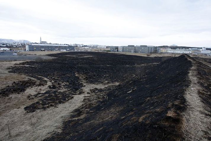 Eins og sjá má brann sinan á stóru svæði.Fréttablaðið / gva