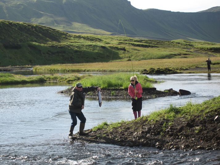 Laxi landað neðan Frúarhyls í Vatnsá