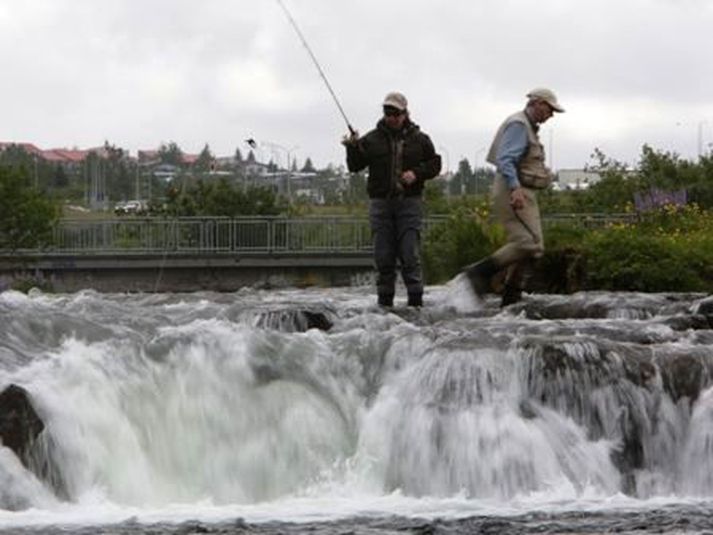 Veiðiþjófar gerðu sig heimakomna í Sjávarfossinum í Elliðaánum um síðustu helgi. Þeir eru ekki á þessari mynd.