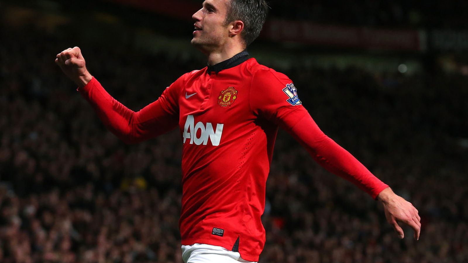 Van Persie 2014