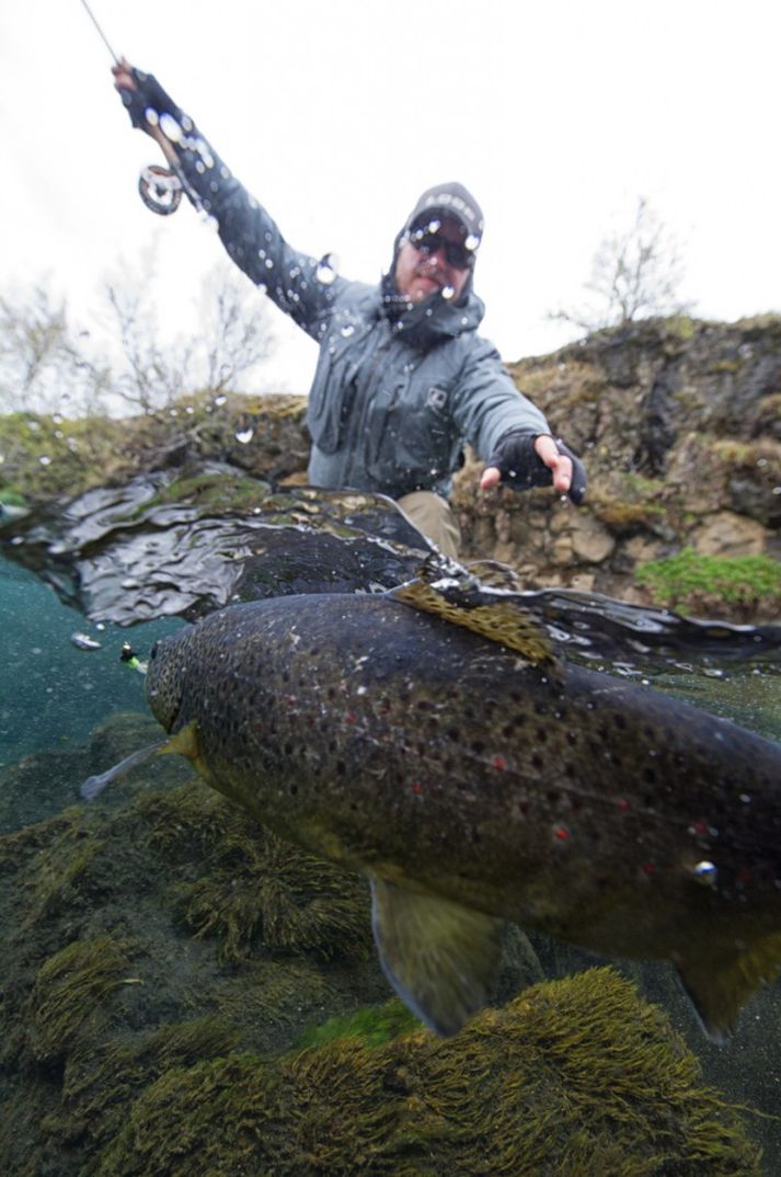 Mögnuð mynd. Urriðinn er á og við sjáum hann og veiðimanninn frá sjónarhorni fisksins.