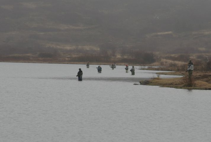 Það getur oft verið þétt við bakkann þegar aðstæður eru réttar í Vífilstaðavatni