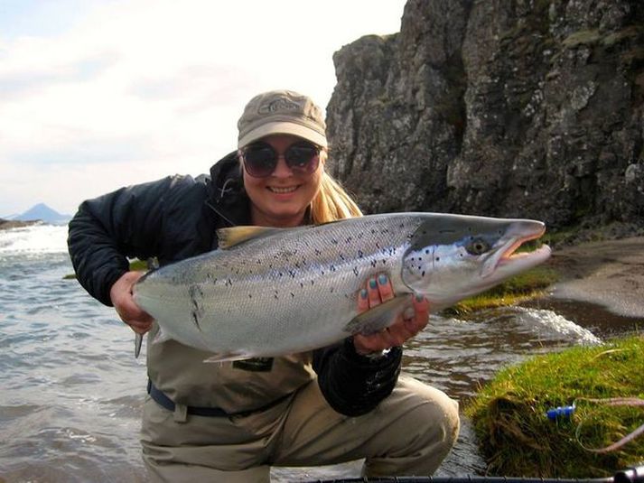 Góð laxveiði er og miklu betri en var í fyrra. Veiðimenn kætast.