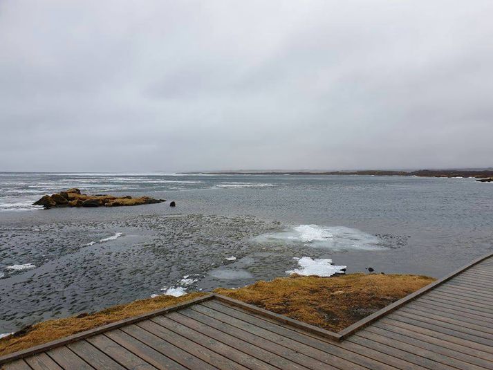 Það er heldur kuldalegt við Þingvallavatn þessa dagana.