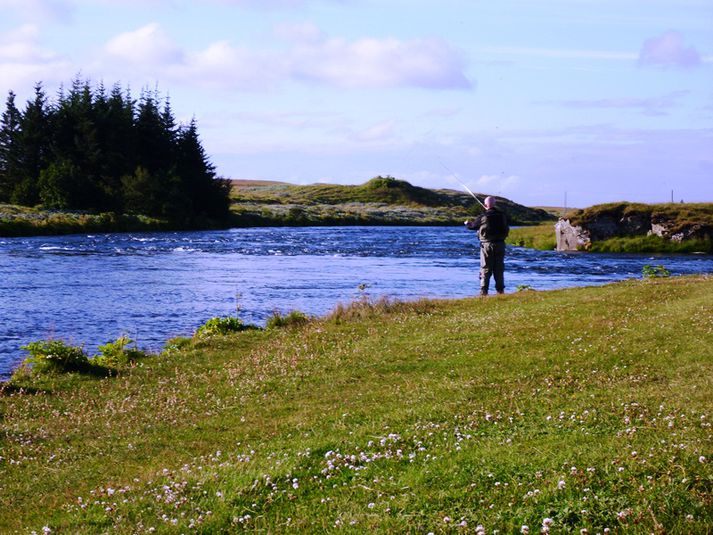 Veitt í Rangárflúðum í Ytri-Rangá.