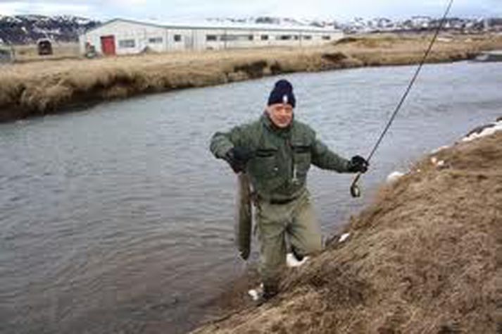 Ármann Jón Garðarsson með 70 sm birting úr opnun Varmár 2009