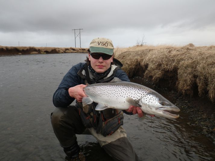 Hér eru aðeins birtar þrjár myndir af fjölmörgum í fórum Hrafns. Þær voru valdar eftir þeirri einföldu reglu að birtingarnir eru allir yfir 70 sentímetra; veiddir 9. og 16. apríl. Sá stærsti 75 sentímetrar.