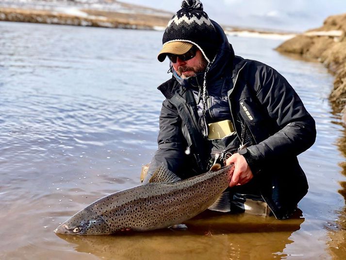 Það komu 30 fiskar á land við opnun í Húseyjakvísl