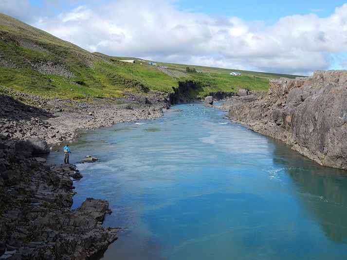 Hólaflúð í Jöklu en þetta hefur verið einn besti staðurinn í ánni í sumar