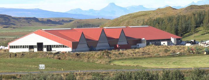 Nýja fjósið í Gunnbjarnarholti er um 4.000 fermetrar á stærð og er allt hið glæsilegasta.