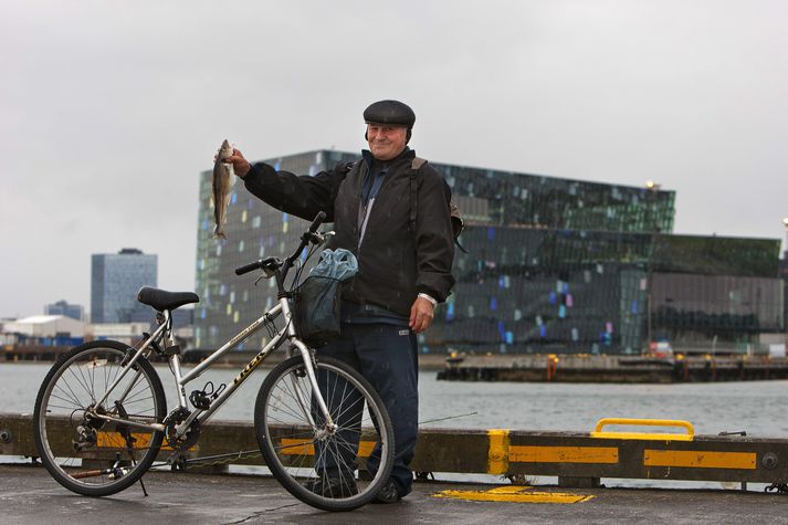 Ágætlega aflast hjá bryggjuveiðimönnunm í Reykjavíkurhöfn að sögn þeirra sem til þekkja.