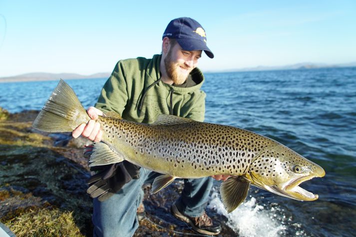 Flottur urriði af Kárastöðum.