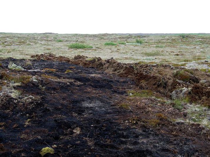 sviðin jörð Hér sést hvar sinueldurinn hefur staðnæmst við plógförin. Sveinn Runólfsson landgræðslustjóri segir mildi að ekki fór miklu verr.