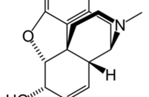 Fréttamynd