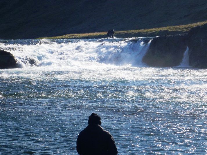 Við Laxfoss í Norðurá.