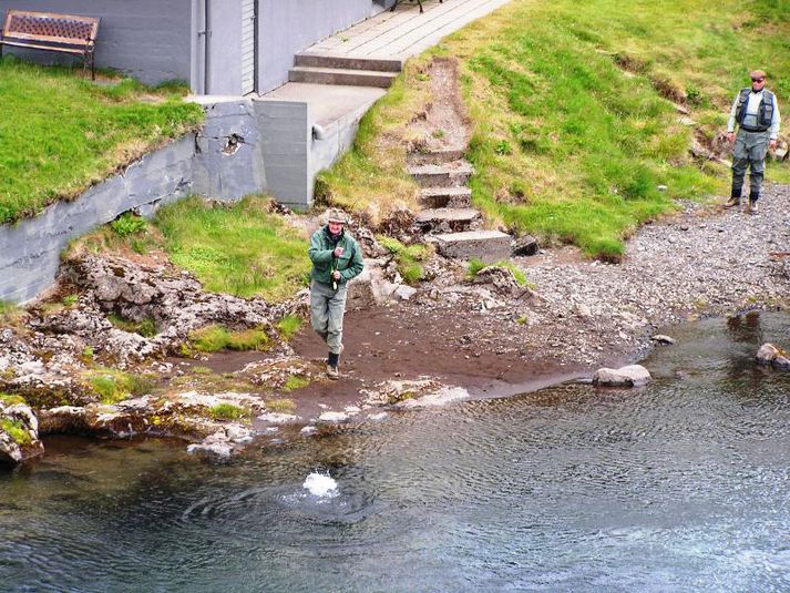 Fallegum smálaxi landað í Hítará í sumar. Þegar Veiðivísir leit við á bakkanum sauð Breiðan af laxi, svo alltaf virtist lax á lofti.