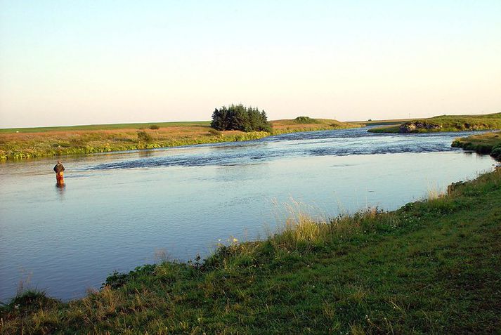 Rangárflúðir. Hér veiddust þrír laxar í opnuninni í fyrrasumar.