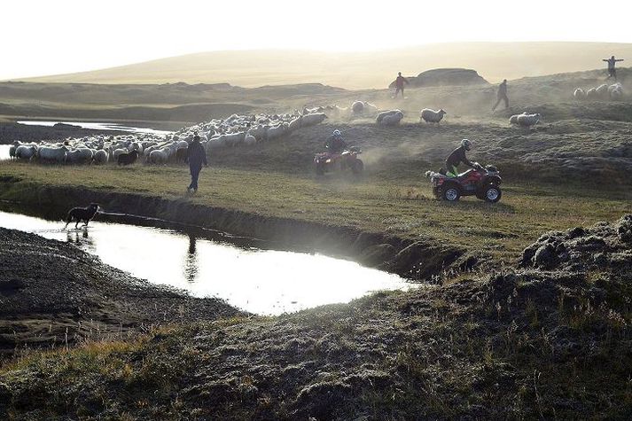 'Bændur í Skaftárhreppi fara ekki lengur með hesta á fjall, heldur eingöngu fjórhjól. mynd/haukur snorrason