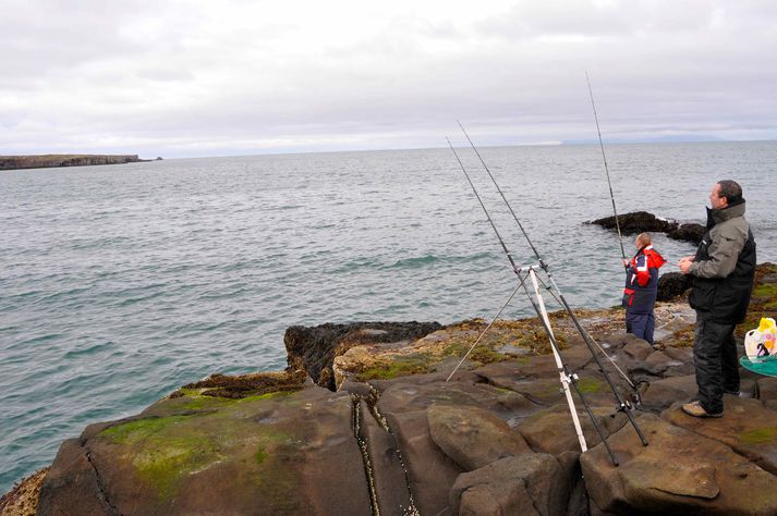 Strandveiði er skemmtilegt sport.