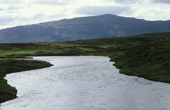 Kvóti hefur verið settur á í Bíldsfelli fyrir sumarið 2012