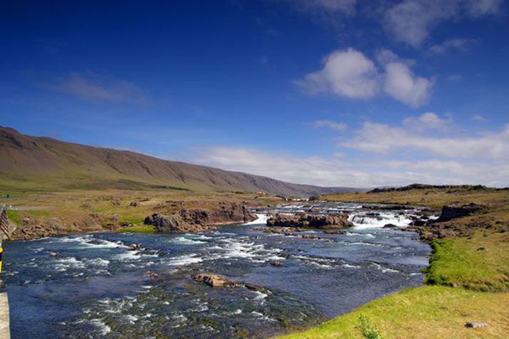 Margt bendir til þess að opnunin í Laxá í Kjós á miðvikudaginn verði með besta móti.