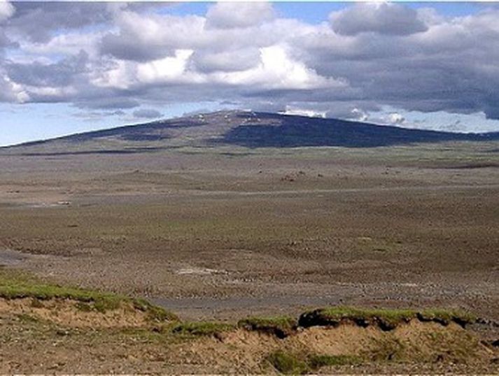 Ökumaðurinn velti fjórhjólinu við Skjaldbreið á hádegi í dag.