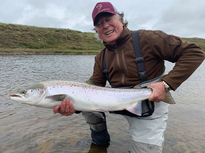 Vænn lax á Haug hitch í Víðidalsá í gærmorgun.