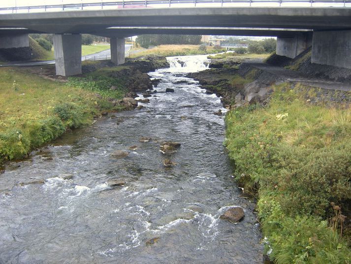 Hreinsun Elliðaánna fer fram á laugardaginn 3. júní