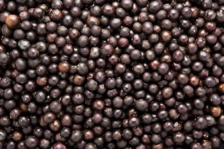 Acai ber