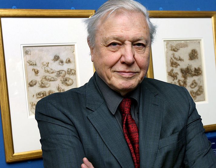 David Attenborough er vafalítið einn dáðasti sjónvarpsmaður heims. Hann varð níræður á dögunum.