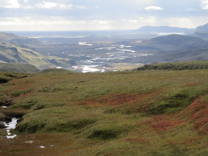 Fossá í Fossárdal liggur inn úr Þjórsárdal.