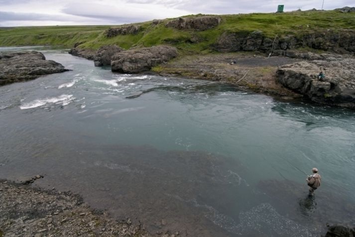 Dammurinn í Blöndu á svæði I