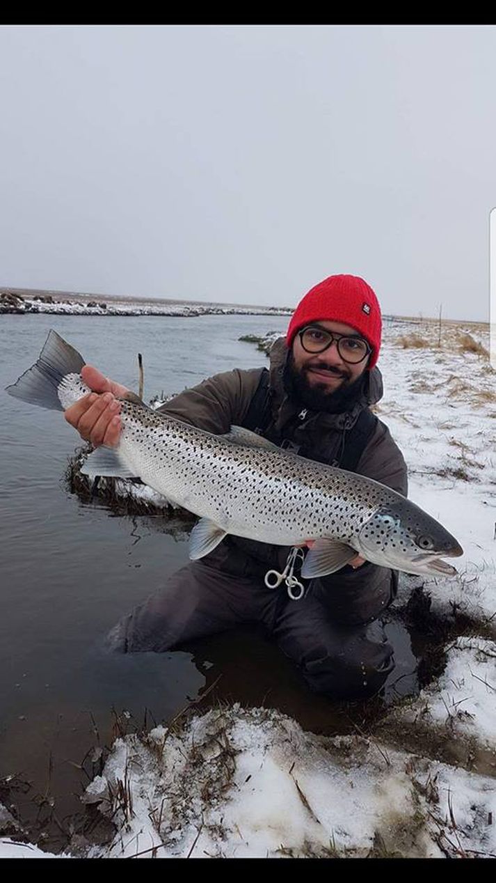 Alex Clausen með flotta hrygnu úr Varmá í gær.