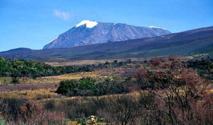 Kilimanjaro