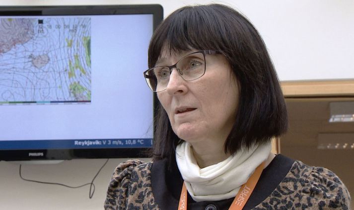 Kristín Vogfjörð, seismologist and research director at the Icelandic Meteorological Office.