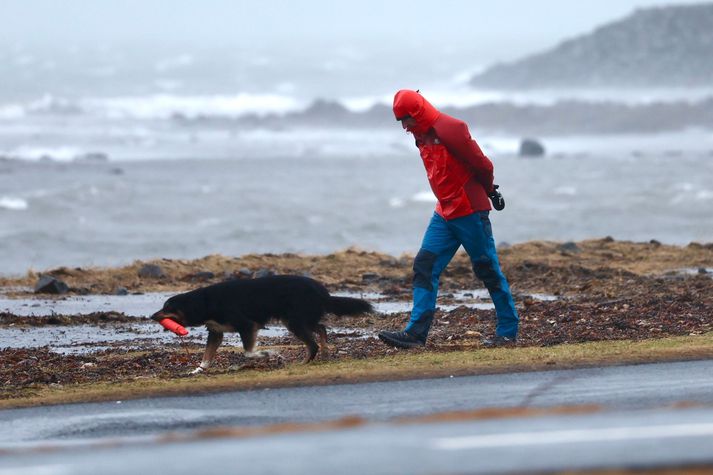 Hundaeigendur eru vanir því að viðra dýrin sín í öllum veðrum eins og þessi fyrir hádegi við Ægissíðu.