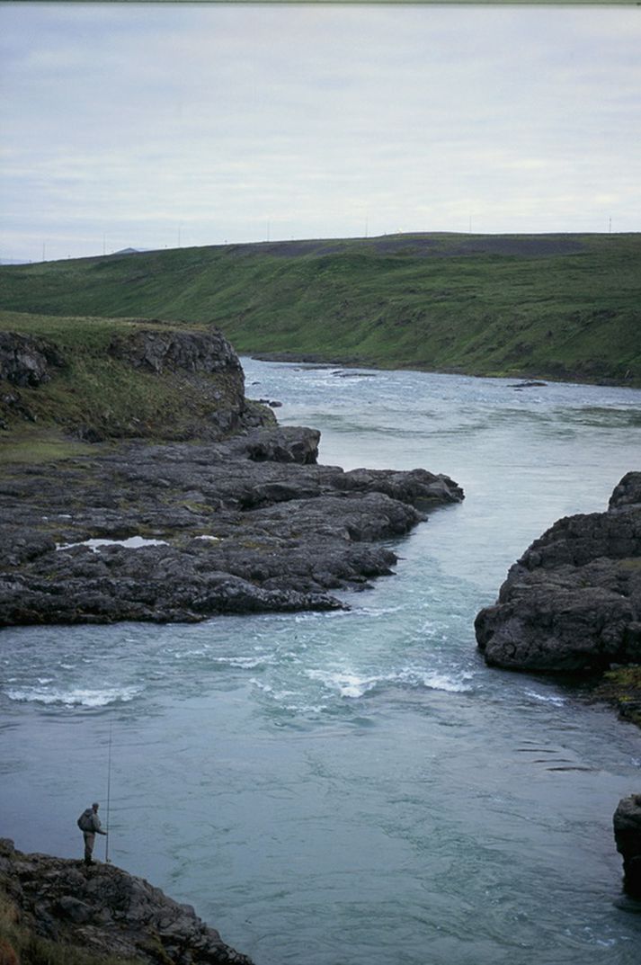 Blanda er að gefa vel þessa dagana