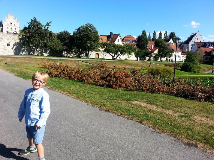 "Skólinn minn er innan við vegginn í Visby sem er eins og virkisveggur. Þar eru húsin öðruvísi en heima og göturnar líka,“ segir Eiríkur Nói.