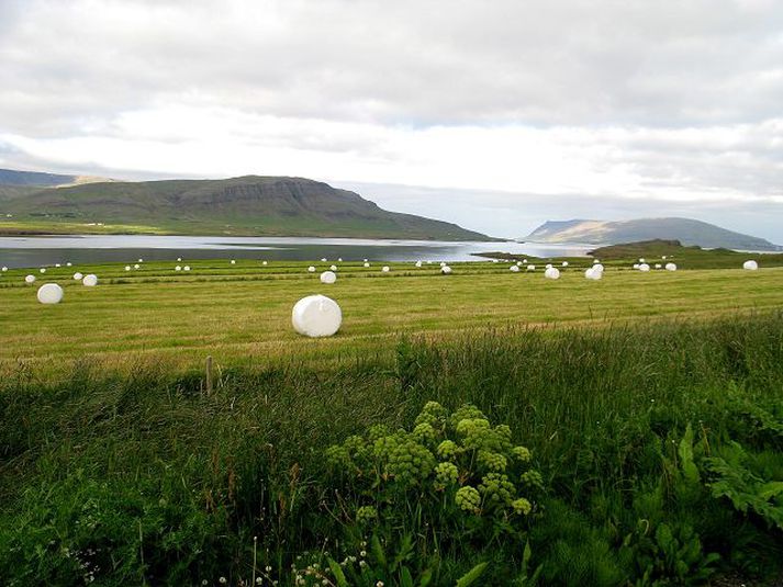 heyrúllur
Tjónið eftir skemmdarvargana er talið í hundruðum þúsunda.