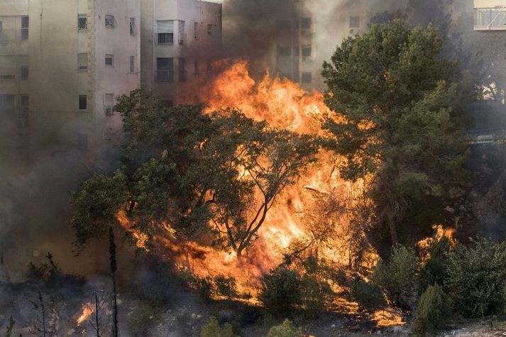 Tugþúsundir neyddust til að flýja heimili sín vegna eldanna, flestir í borginni Haifa.