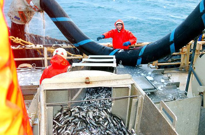 Flest stefnir í verkfall starfsmanna í fiskimjölsverksmiðjum. Verði af verkfalli mun loðnuvinnsla stöðvast á lykiltímabili vertíðarinnar.