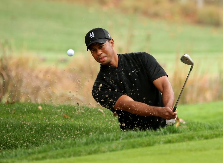 Tiger Woods er í þriðja sæti heimslistans í golfi.