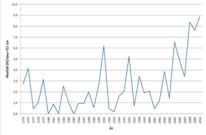 Hlutfall laxa <51 cm af öllum lengdarmældum löxum í Selá í Vopnafirði 1975-2010.