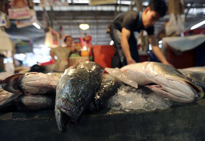 Stjórnvöld á Taílandi vinna að því að uppræta mansal í fiskiðnaði.